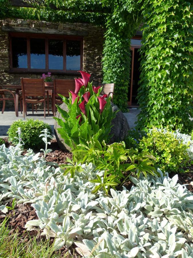 Hadleigh Boutique Lodge Tamahere Exterior foto